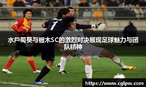 MILE米乐平台